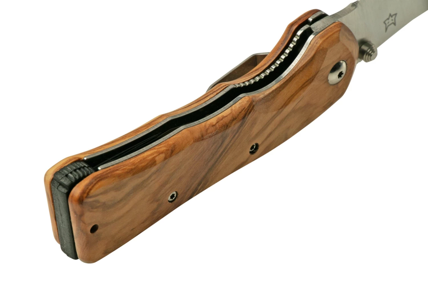 Fox Knives Spora Mushroom Satin Olive FX-409OL, Cuchillo Para Setas 6 Fox Knives Spora Mushroom Satin Olive FX-409OL, Cuchillo Para Setas - Imagen 6